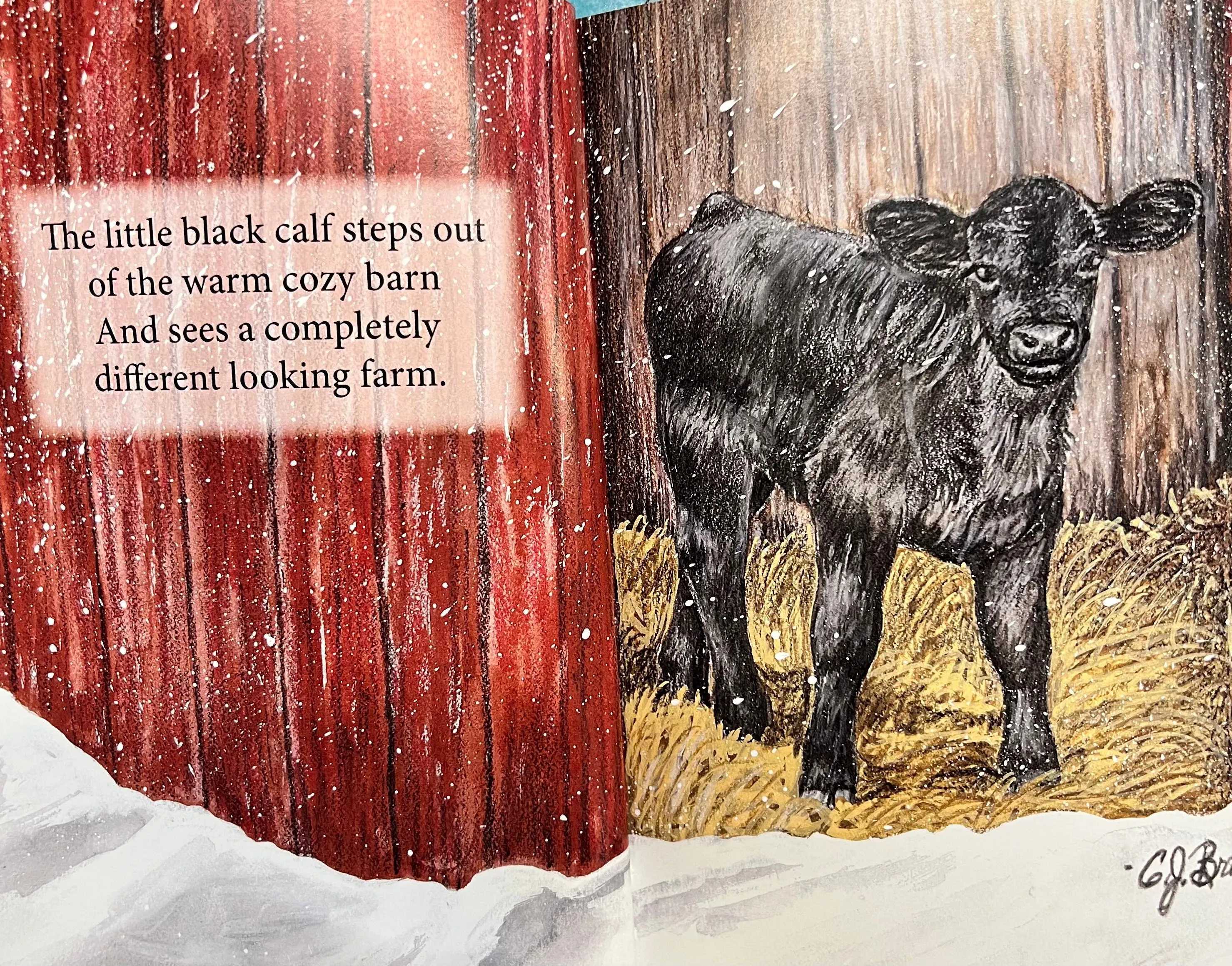 CJ Brown Snow! Childrens Book