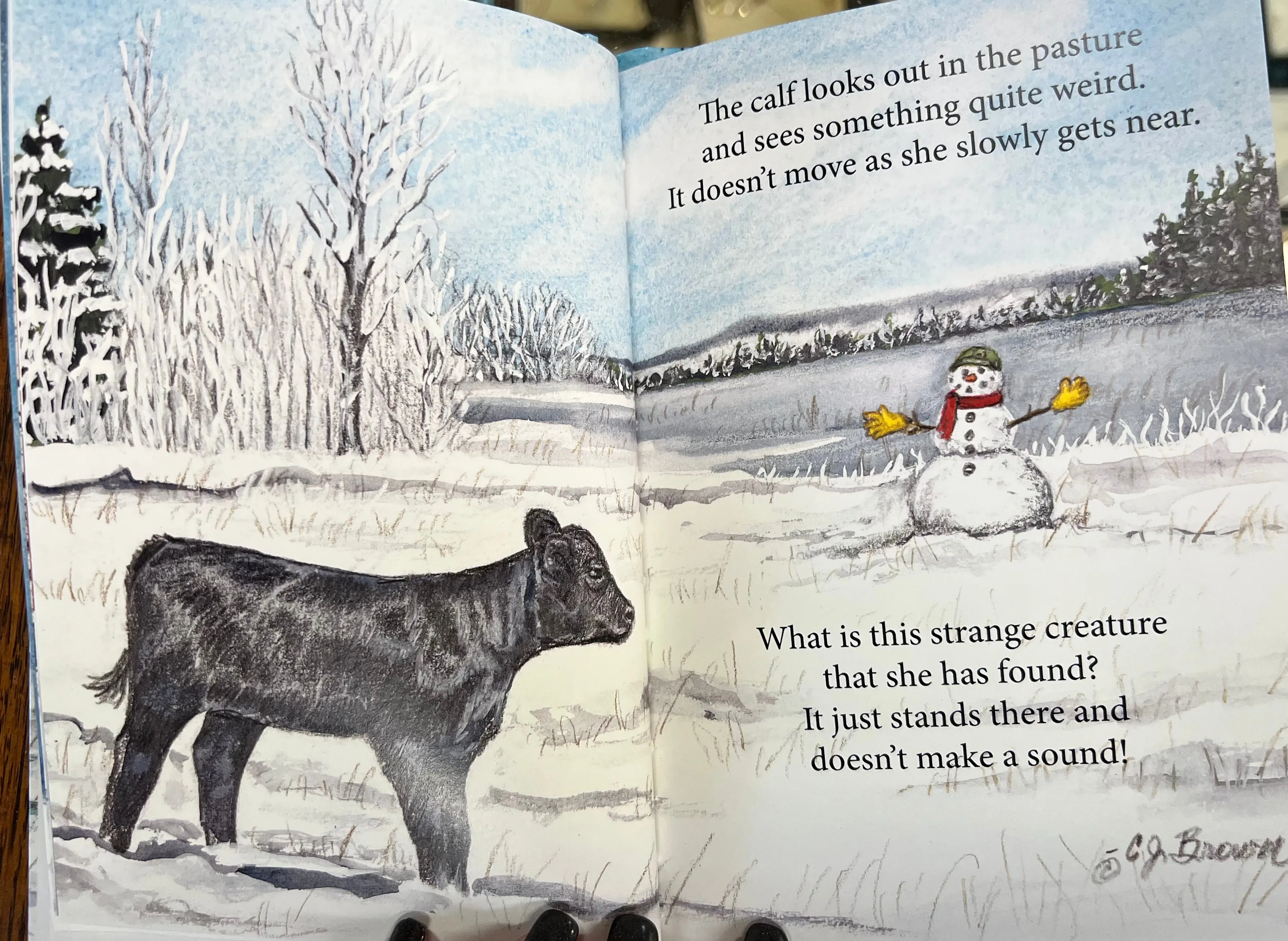 CJ Brown Snow! Childrens Book