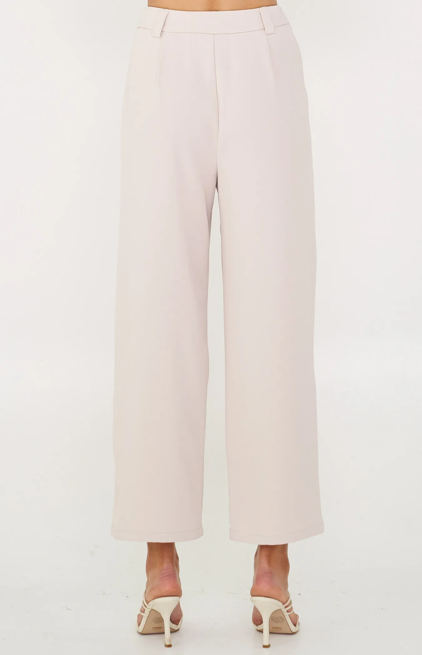 High Waisted Wide Leg Pants with Double Pleat Detail (SPA413B)