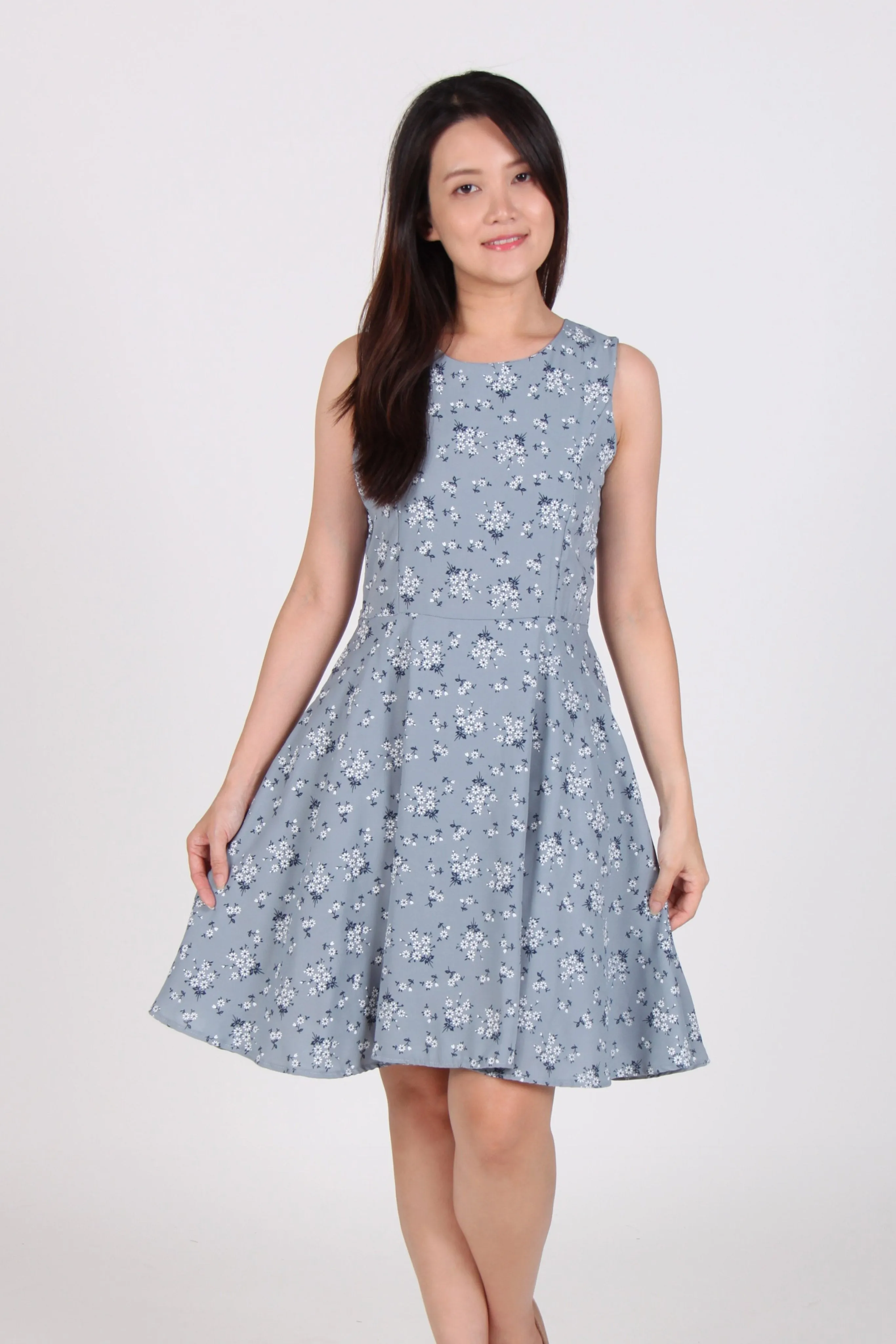 Sleeveless Floral Skater Dress in Blue