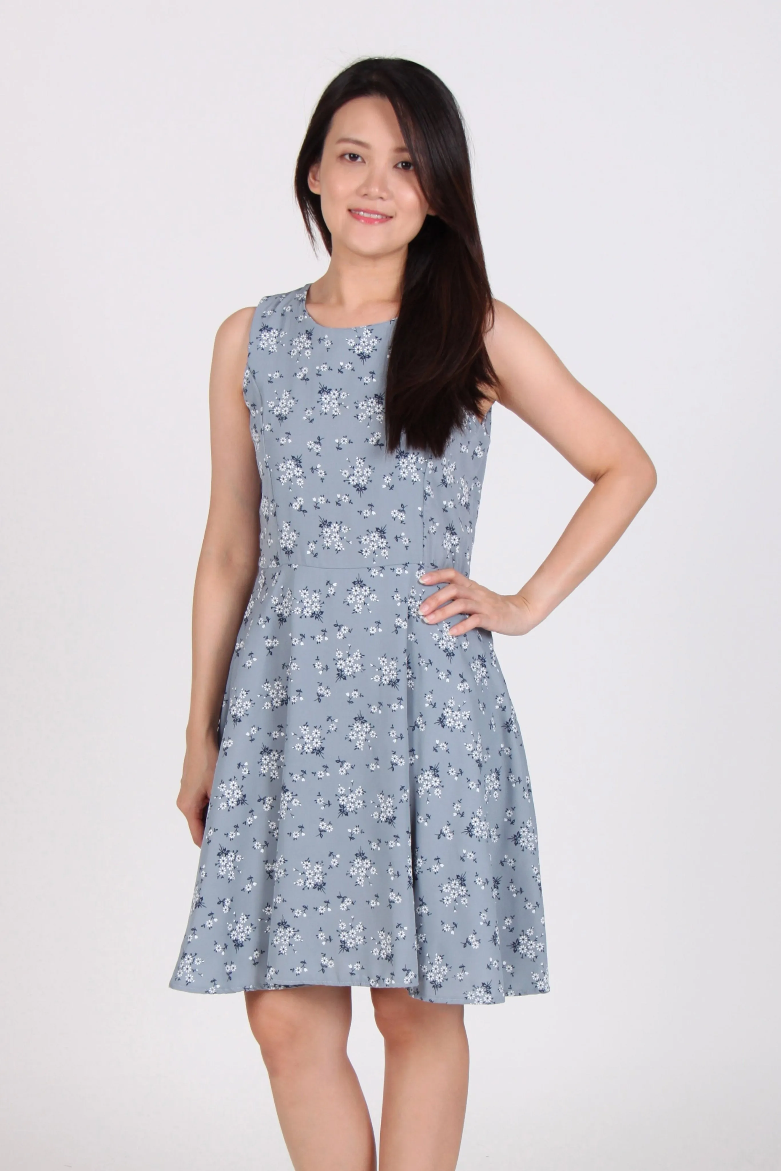 Sleeveless Floral Skater Dress in Blue